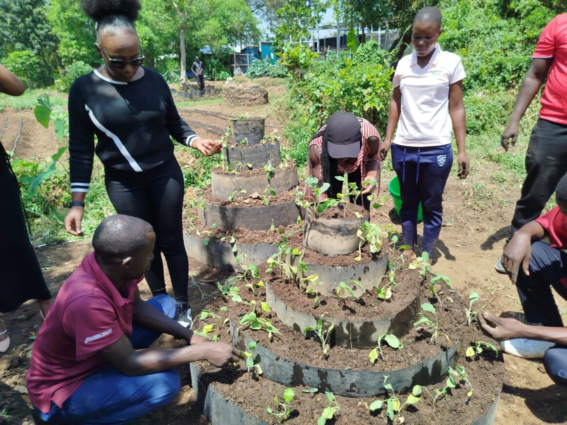 Harvesting Hope: Empowering Kisumu Communities through Smart Agriculture-ClimateYESKenya
