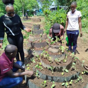 Harvesting Hope: Empowering Kisumu Communities through Smart Agriculture-ClimateYESKenya